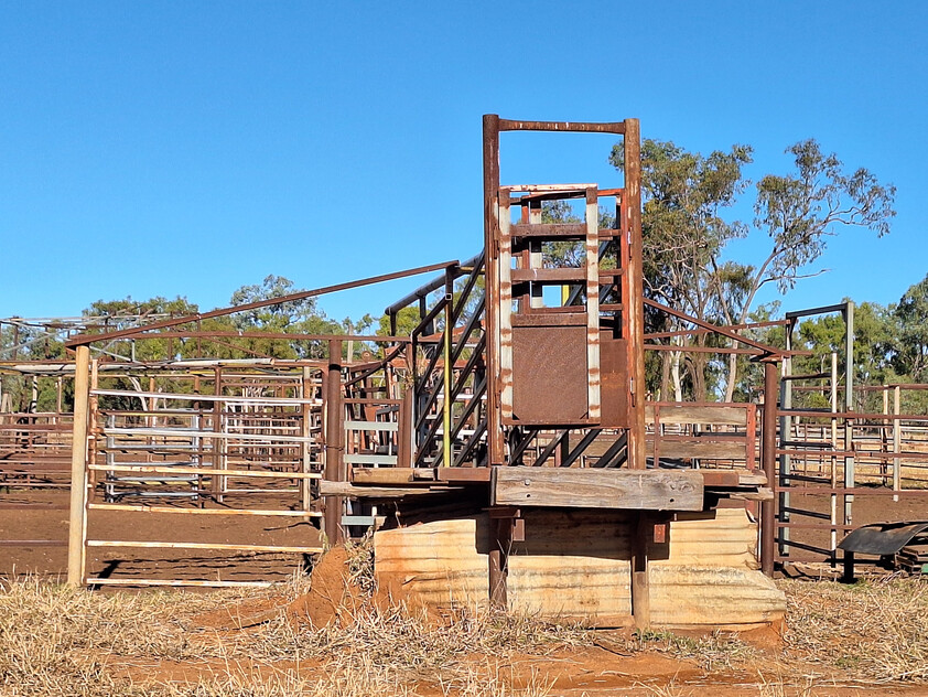 FOR SALE: Safe breeding block - Speculation: 24,923 ha/61,586 acres