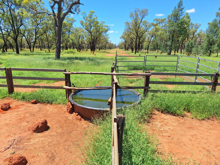 FOR SALE: Safe breeding block - Speculation: 24,923 ha/61,586 acres