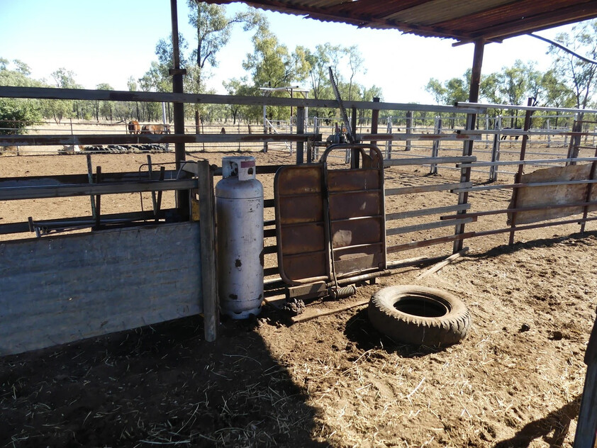 FOR SALE: Safe breeding block - Speculation: 24,923 ha/61,586 acres