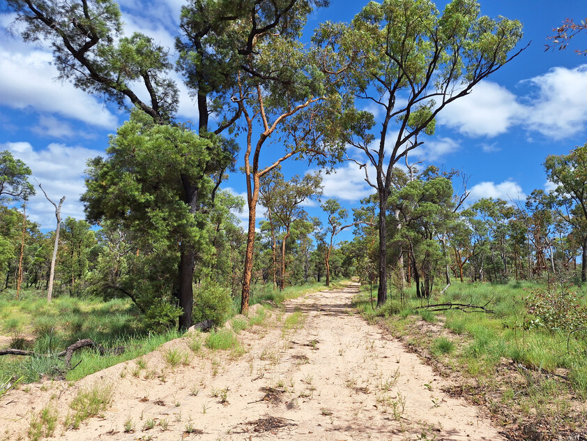 FOR SALE: Safe breeding block - Speculation: 24,923 ha/61,586 acres