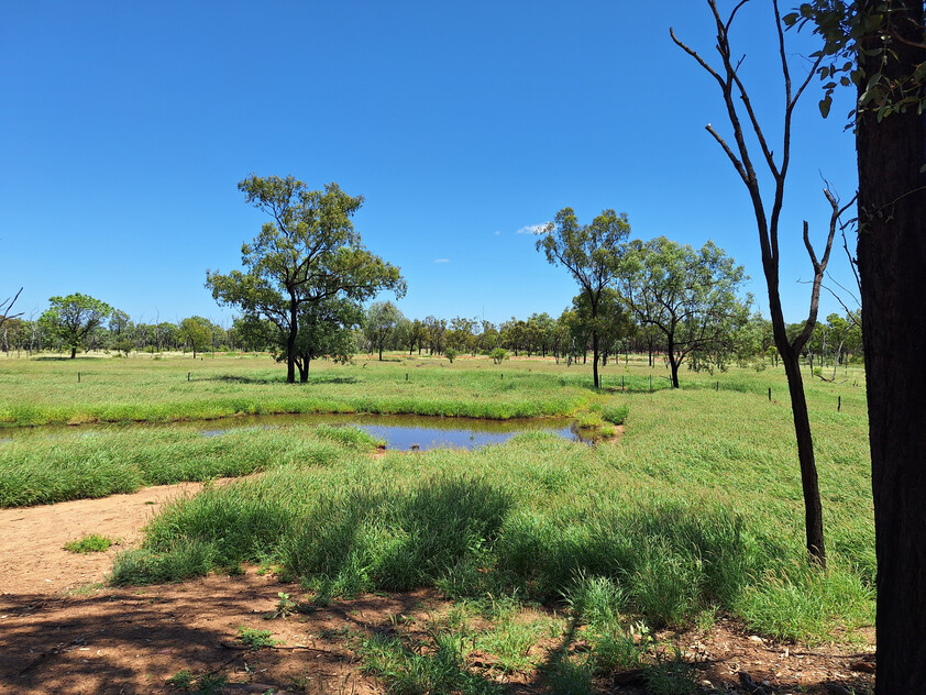 FOR SALE: Safe breeding block - Speculation: 24,923 ha/61,586 acres