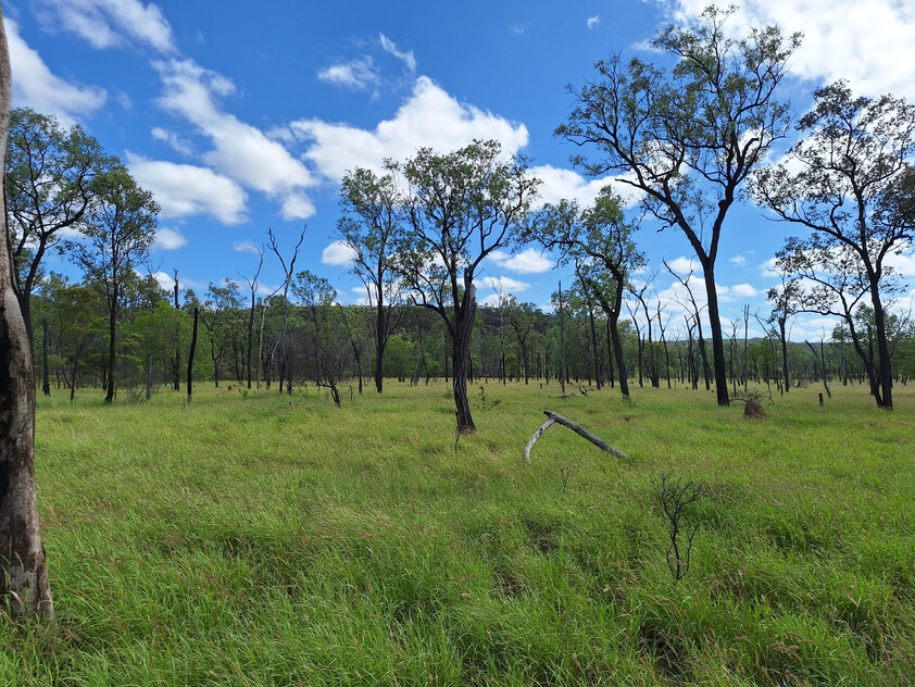 FOR SALE: Safe breeding block - Speculation: 24,923 ha/61,586 acres