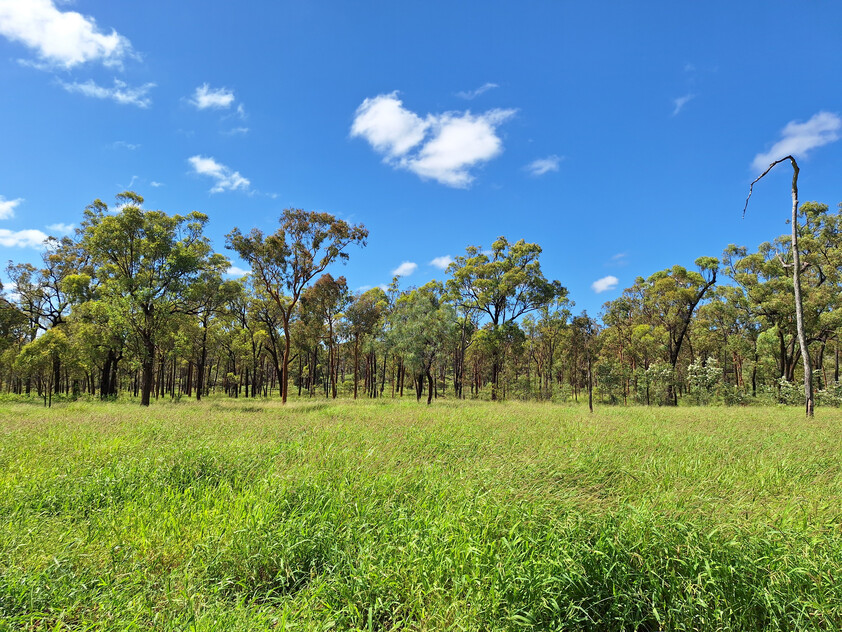 FOR SALE: Safe breeding block - Speculation: 24,923 ha/61,586 acres