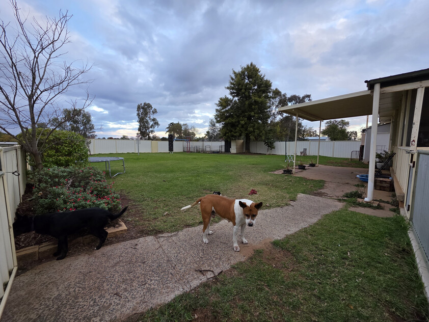 If you're after space, functionality, and a well-maintained home with room to grow, 50 Dallas Street delivers it all.