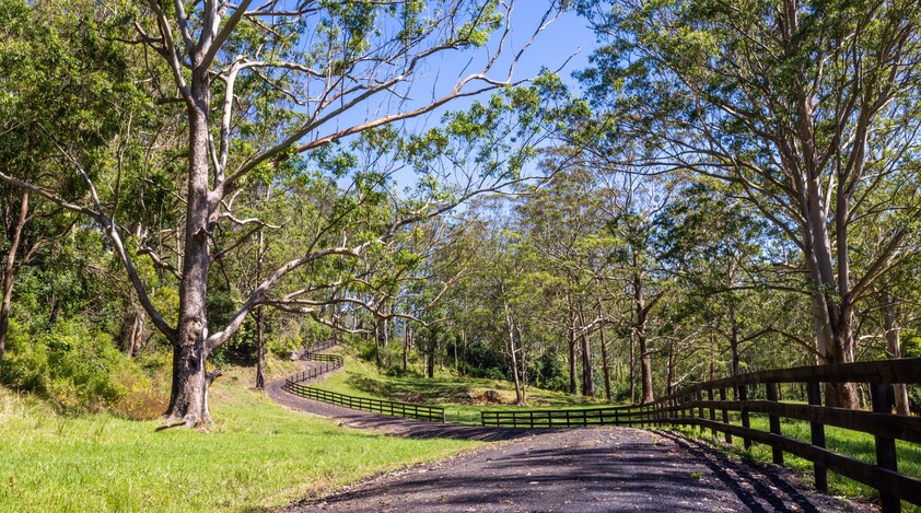 Large Farm Kangaroo Valley 1.5 Hrs South of Sydney