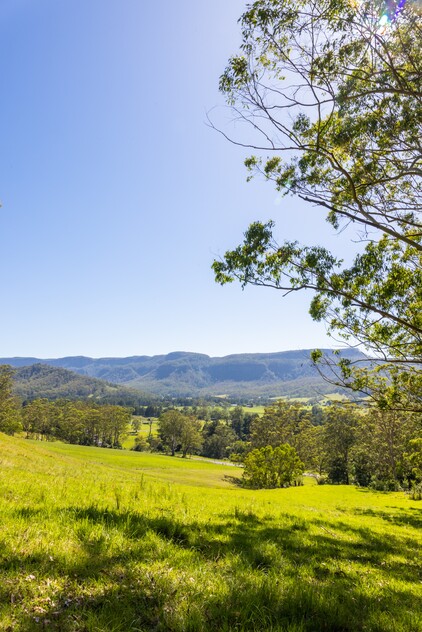 Large Farm Kangaroo Valley 1.5 Hrs South of Sydney