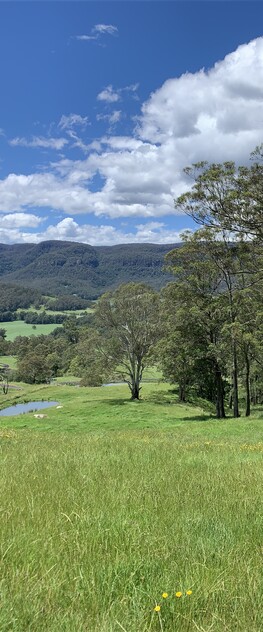 100 ACRES Kangaroo Valley NSW