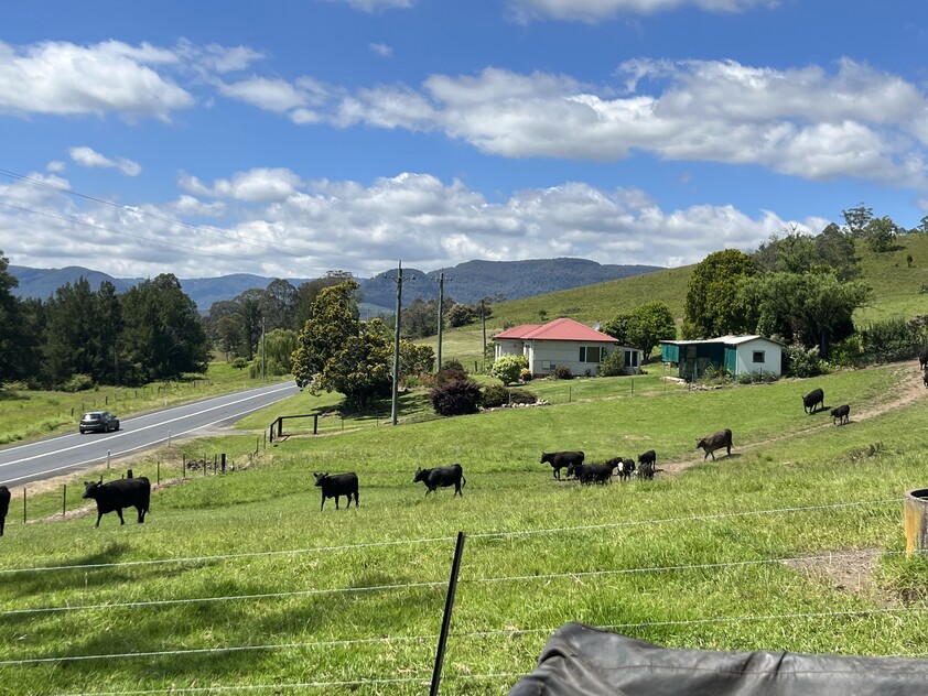 Large Farm Kangaroo Valley 1.5 Hrs South of Sydney
