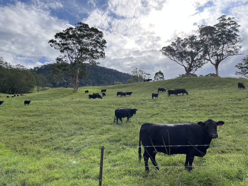 100 ACRES Kangaroo Valley NSW