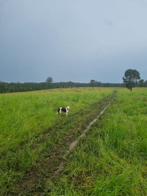 830-Acre Rural Property with Agricultural Scale and Lifestyle Potential Collombatti, NSW