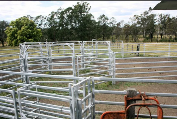 830-Acre Rural Property with Agricultural Scale and Lifestyle Potential Collombatti, NSW
