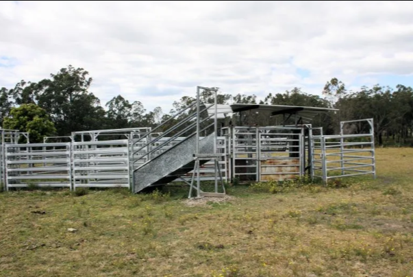 830-Acre Rural Property with Agricultural Scale and Lifestyle Potential Collombatti, NSW