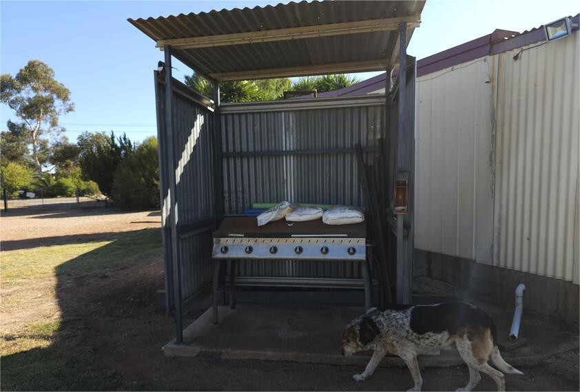 3 bedroom house on 1/2 acre block