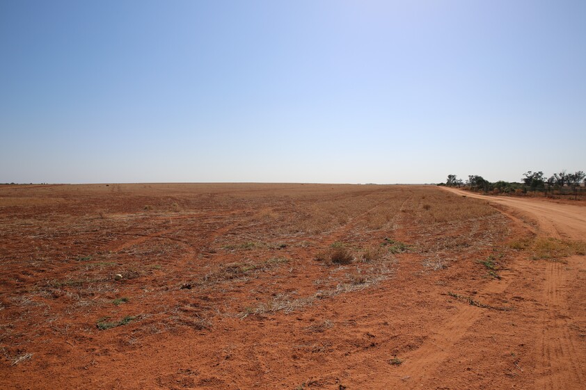Horticulture Land Development Opportunity