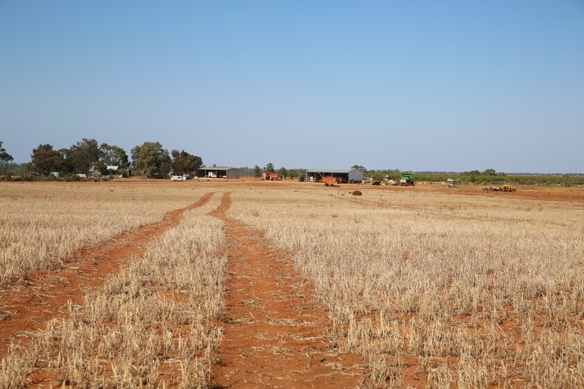 Horticulture Land Development Opportunity