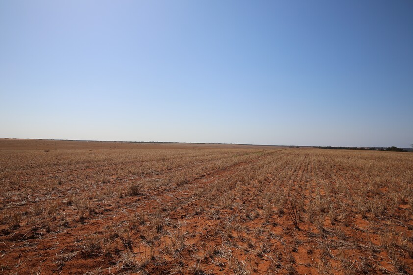 Horticulture Land Development Opportunity