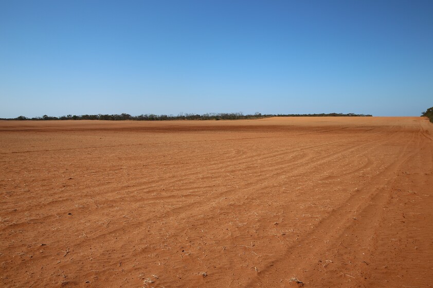 Horticulture Land Development Opportunity