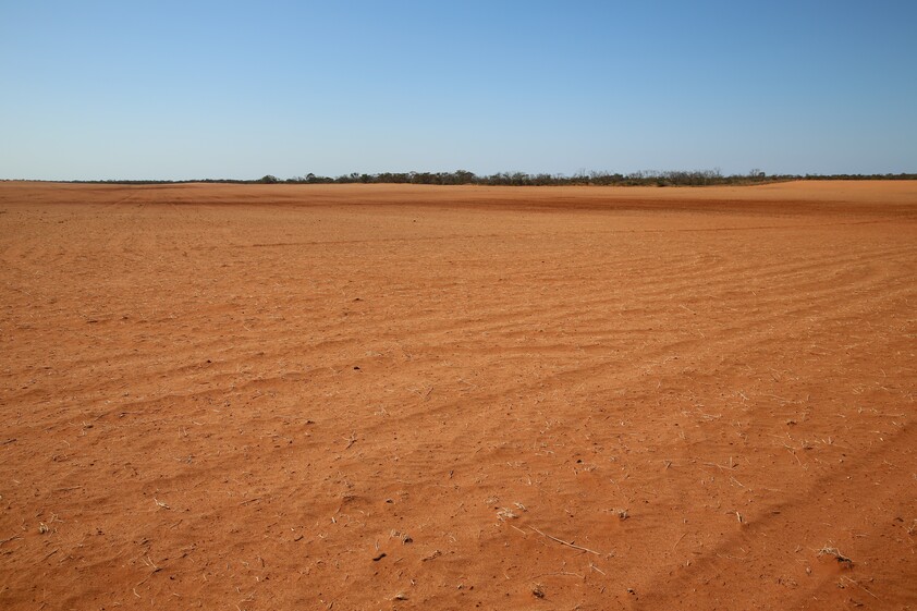 Horticulture Land Development Opportunity