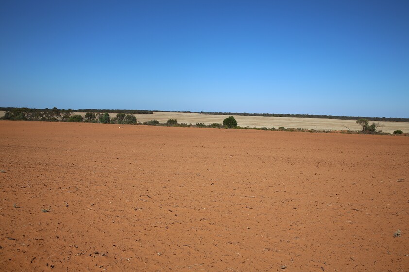 Horticulture Land Development Opportunity