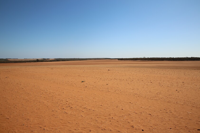 Horticulture Land Development Opportunity