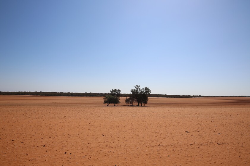 Horticulture Land Development Opportunity
