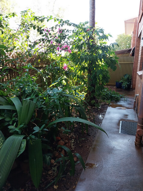 Charming Townhouse in Katherine East