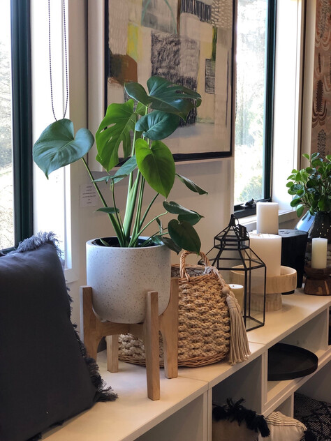 $1.25m+ Revenue / Established 30 yrs / Retail Business / Moontree