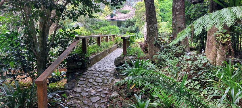 A Rare Rainforest Estate with Huge Potential