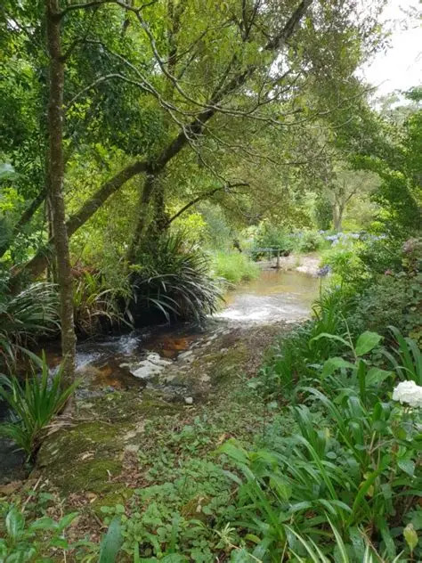 A Rare Rainforest Estate with Huge Potential