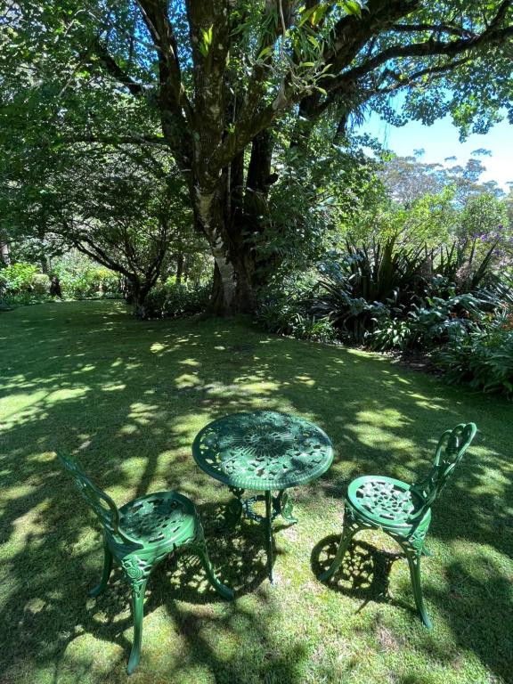 A Rare Rainforest Estate with Huge Potential