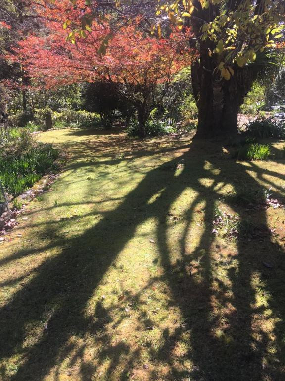 A Rare Rainforest Estate with Huge Potential