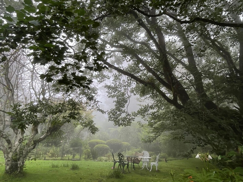 A Rare Rainforest Estate with Huge Potential