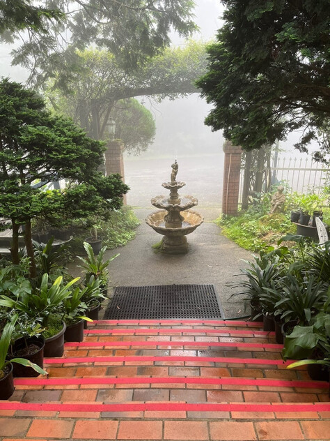 A Rare Rainforest Estate with Huge Potential