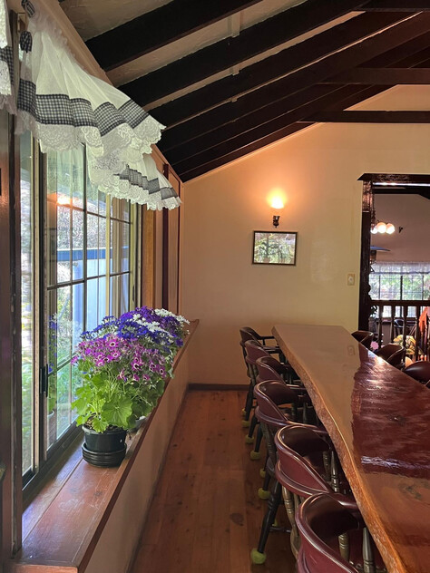 A Rare Rainforest Estate with Huge Potential