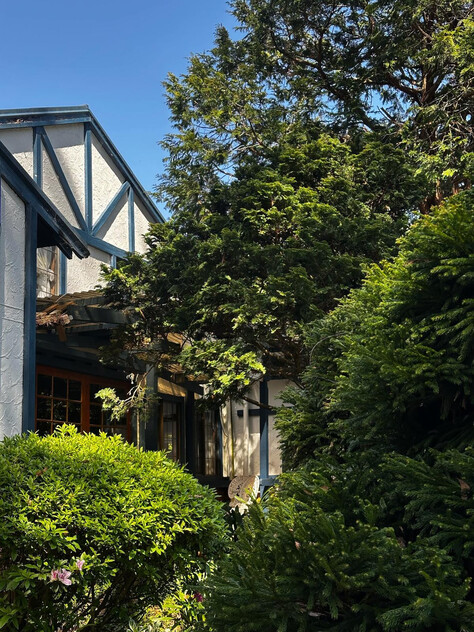 A Rare Rainforest Estate with Huge Potential