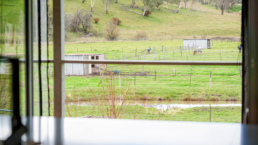 (PENDING) RIVER FRONT AGREAGE with| Renovated Home |EQUINE FACILITIES