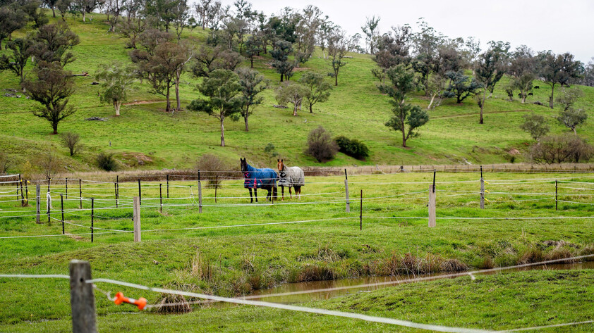 (PENDING) RIVER FRONT AGREAGE with| Renovated Home |EQUINE FACILITIES