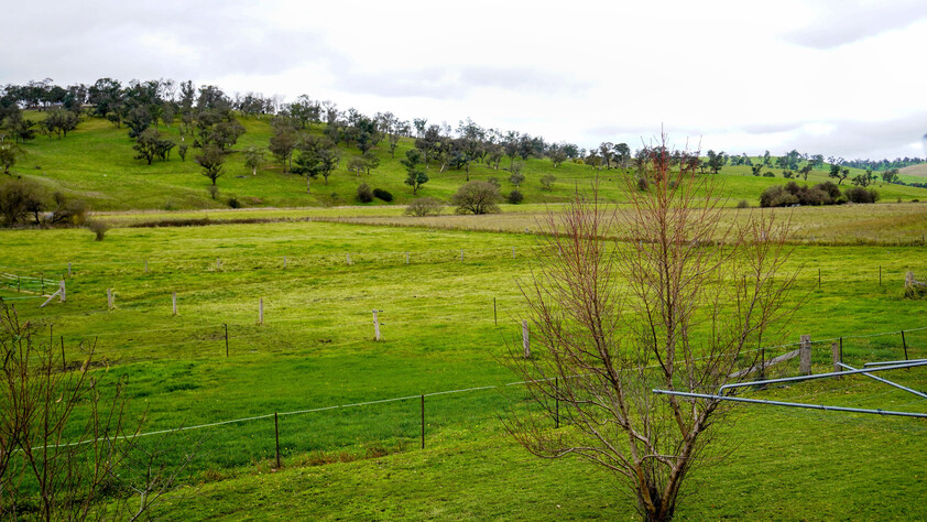 (PENDING) RIVER FRONT AGREAGE with| Renovated Home |EQUINE FACILITIES
