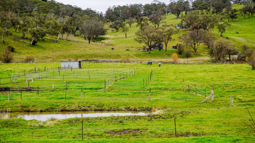 (PENDING) RIVER FRONT AGREAGE with| Renovated Home |EQUINE FACILITIES