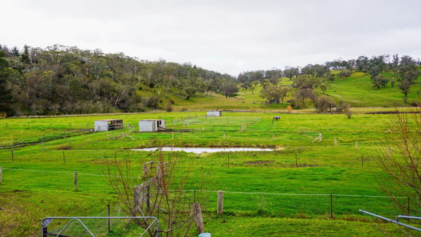 (PENDING) RIVER FRONT AGREAGE with| Renovated Home |EQUINE FACILITIES