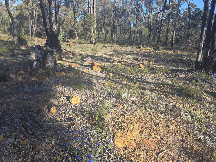 Parkerville Bushland Retreat 5.5 Acres Backing onto National Park