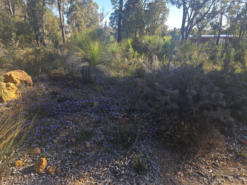 Parkerville Bushland Retreat 5.5 Acres Backing onto National Park