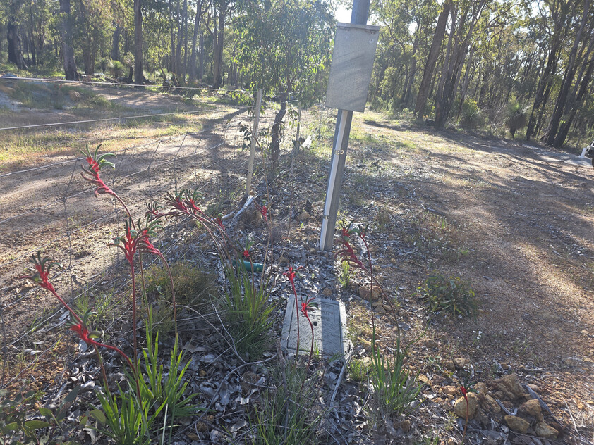 Parkerville Bushland Retreat 5.5 Acres Backing onto National Park