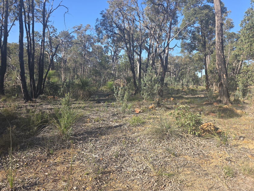 Parkerville Bushland Retreat 5.5 Acres Backing onto National Park