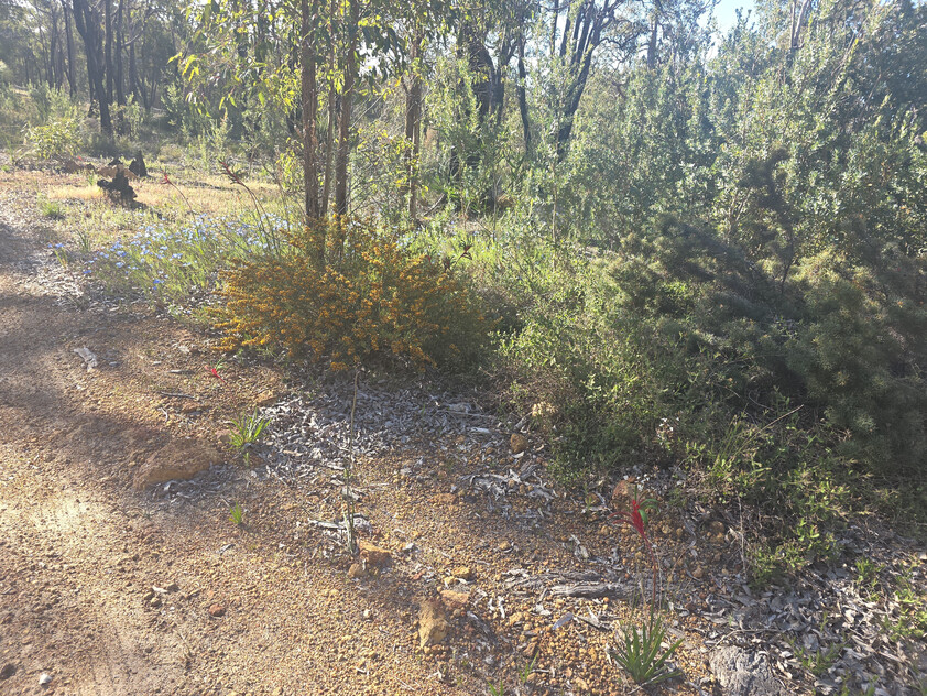 Parkerville Bushland Retreat 5.5 Acres Backing onto National Park