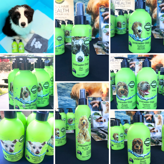 Award-Winning Australian Dog Haircare Brand with Global E-Commerce Opportunity