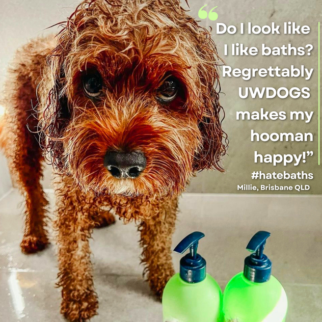 Award-Winning Australian Dog Haircare Brand with Global E-Commerce Opportunity