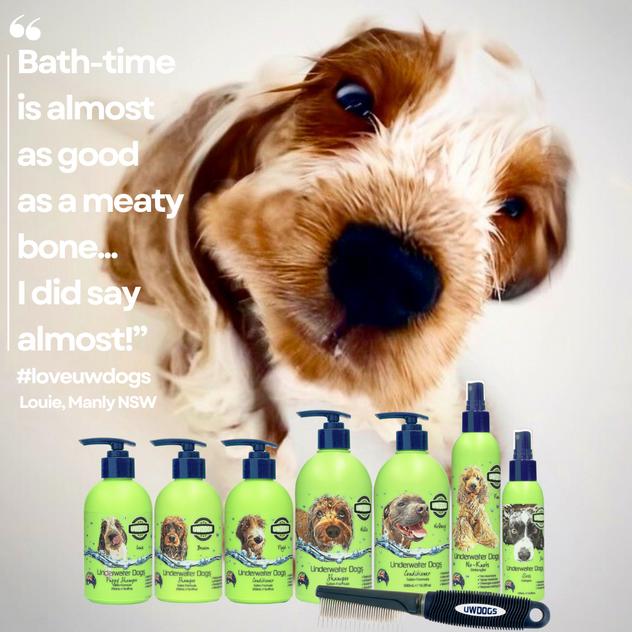 Award-Winning Australian Dog Haircare Brand with Global E-Commerce Opportunity