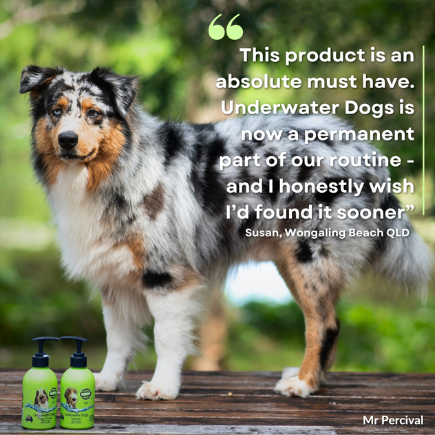 Award-Winning Australian Dog Haircare Brand with Global E-Commerce Opportunity