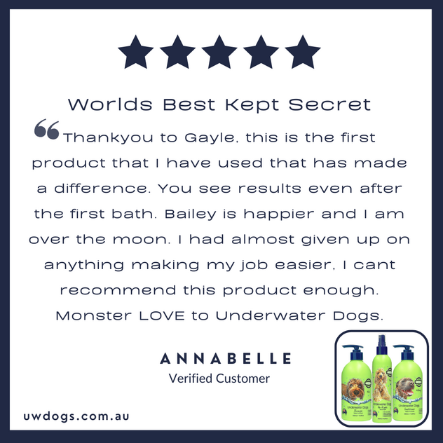 Award-Winning Australian Dog Haircare Brand with Global E-Commerce Opportunity